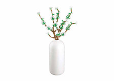 FIORE GELSOMINO MATTONCINI