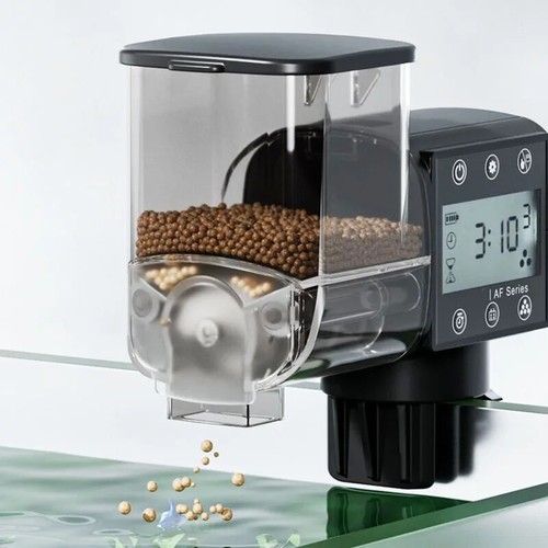 Mangiatoia automatica per