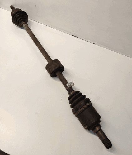46307890 semialbero ant - semialbero,