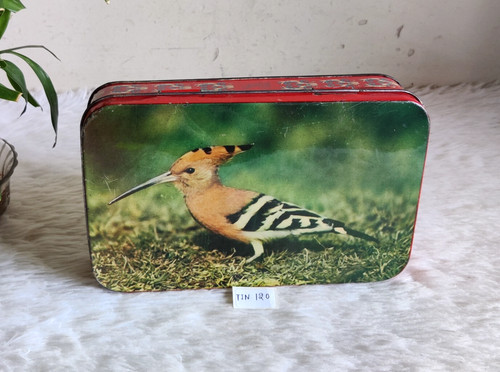 1950s vintage upupa uccello - 1950s,
