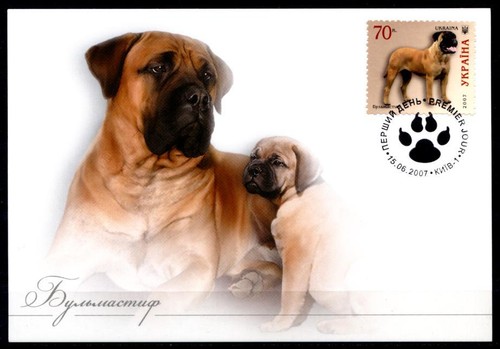 Cani bullmastiff scheda - bullmastiff.,
