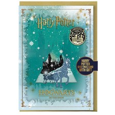 Harry Potter Hogwarts Winter