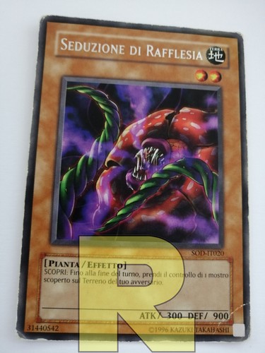 Seduzione rafflesia rara - rafflesia,