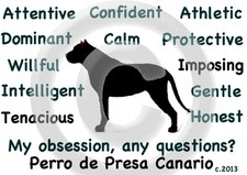 Dogo Canario Perro de Presa Cane La mia ossessione, qualsiasi domanda? T-shirt a scelta