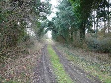 Photo 6x4 Track to Hook's Moor
