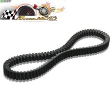 CINGHIA PIAGGIO LIBERTY 200