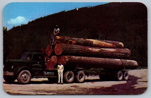 Cartolina douglas fir logs - cartolina,