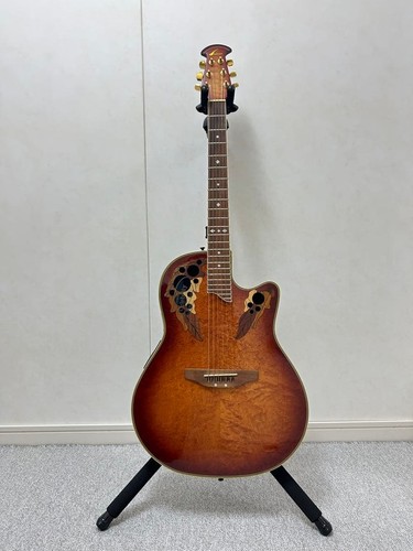 Chitarra elettrica acustica