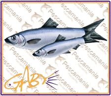 cuscino ARINGA idea regalo