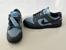 Nike Dunk Low Retro SE nel