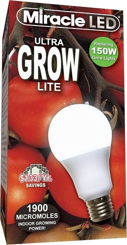Miracle led commerciale - led,