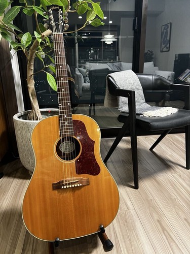 Specifiche chitarra elettrica - specifiche,