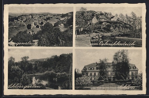Langenstein resina vista - langenstein,