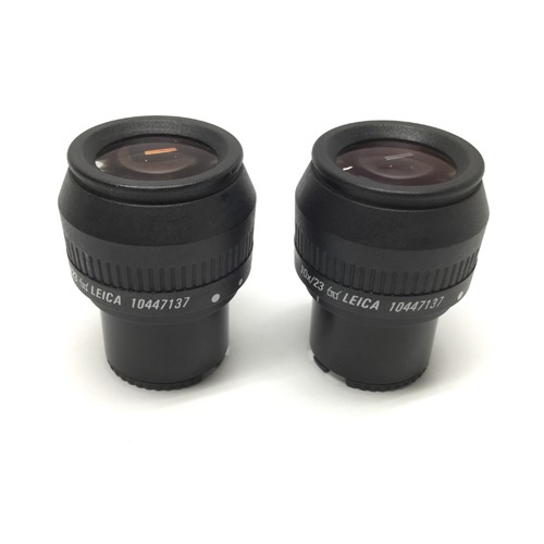 Coppia oculari microscopio - oculari,