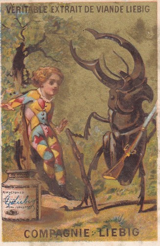 Liebig s91 card from - liebig,