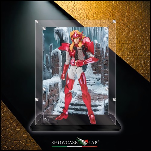 Teca plexiglass - in,