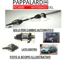 SEMIASSE SEMIALBERO COMPLETO