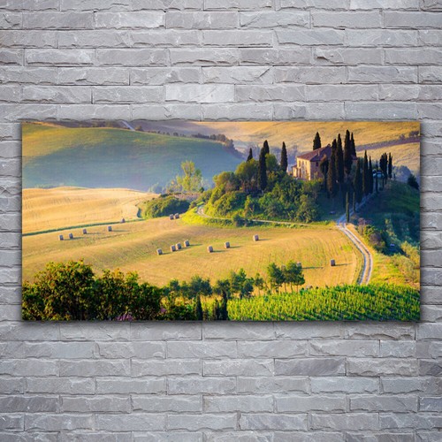 Moderni astratti 120x60 - 120x60, quadro