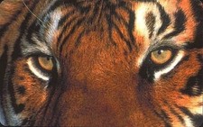 Italy MCI WorldCom Inc