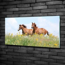 Quadro immagine arte da parete