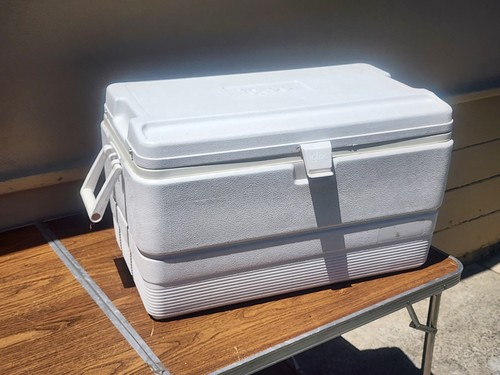 Igloo cooler quart local - igloo,