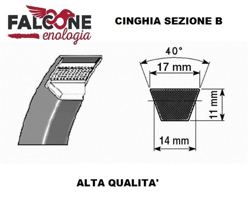 Cinghia trapezoidale liscia - trapezoidale,