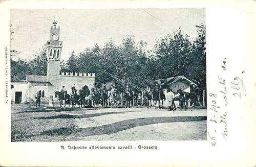 Eo114 cartolina grosseto - cartolina,