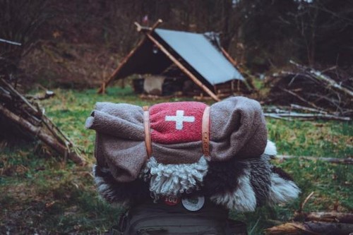 Coperta lana svizzera