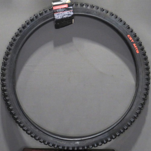 Raleigh pneumatico mtb - raleigh,