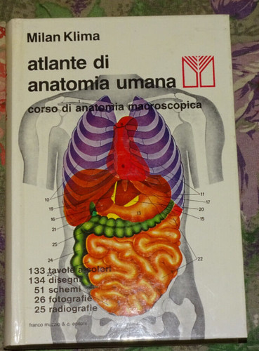 Atlante anatomia umana - di,