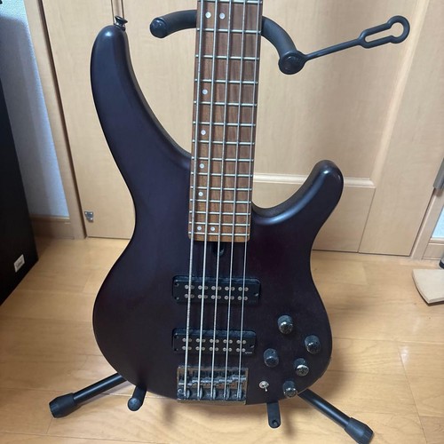 Basso elettrico cinque - basso, corde