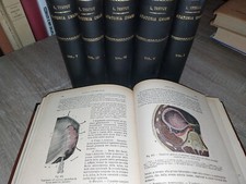 Testut anatomia umana 12 - testut,