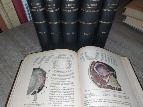 Testut anatomia umana - testut, l.;