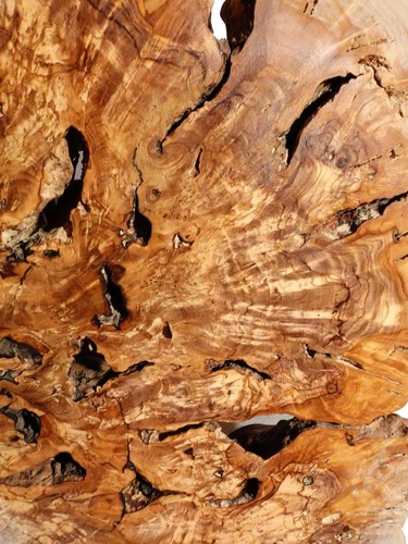 Disco per albero in - albero,