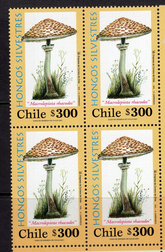 Cile 2001 funghi 300 - 2001,