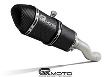 Scarico per Ducati Monster 821 2014-2020 GRmoto Carbon