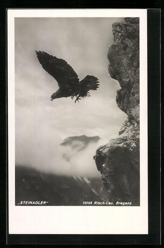 Cartolina aquila reale volante - aquila,