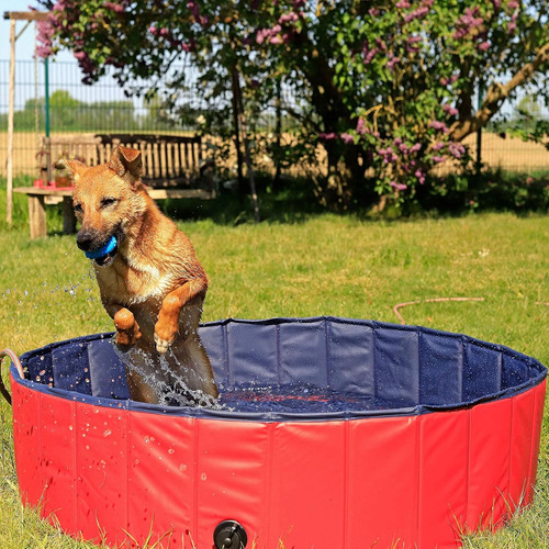 Piscina per cani pieghevole - piscina,