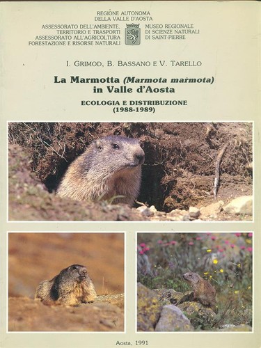 Marmotta valle d aosta - valle, d'aosta