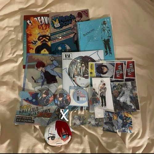 Hero academia shoto - my,