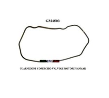 GUARNIZIONE COPERCHIO VALVOLE