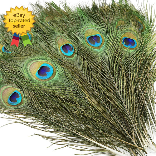 10pcs piume occhi pavone - 10pcs,