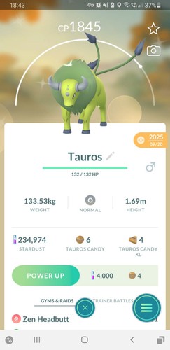 Shiny tauros - 🐂shiny, (iridescente)