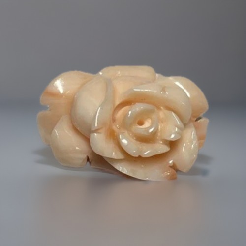 Incisione fiore corallo - incisione,