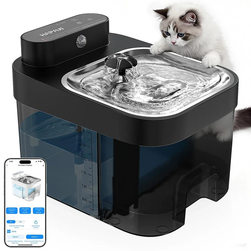 Fontana acqua gatto - fontana,