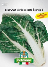semi seme bieta bietola verde