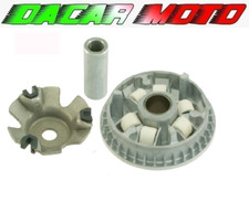 VARIATORE CON PULEGGIA