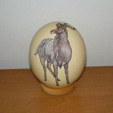 Uovo di struzzo dipinto a mano - Monica Wilson Kudu Sud Africa firmato