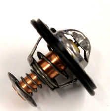 NUOVO Termostato Kawasaki