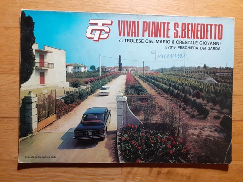 Vivai piante benedetto - vivai,